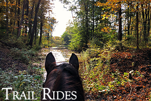 Trail Rides